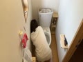 ウォシュレット ウォシュレット