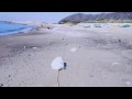 海辺のおさんぽ 海辺のおさんぽ