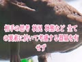 ウパ氏、無重力の虜になる ウパ氏、無重力の虜になる