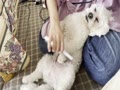 最高だぜぇ 最高だぜぇ